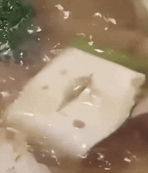 tofu cooking in pot gif